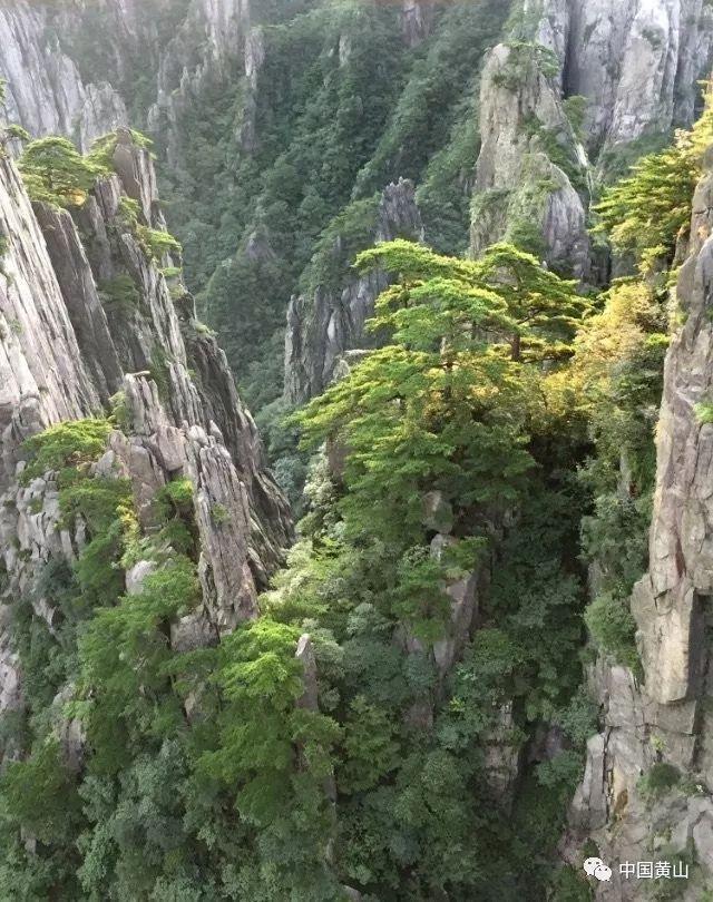 奇特的方块世界
